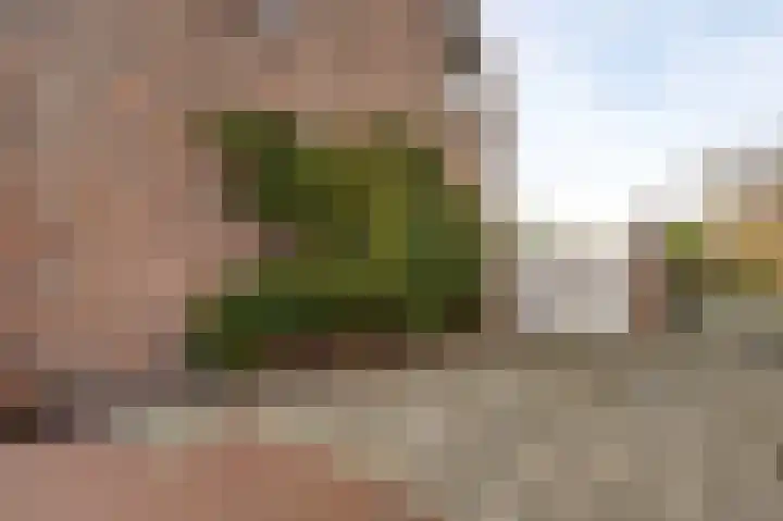 Lambertusstraat 3 Neeritter thumbnail 5
