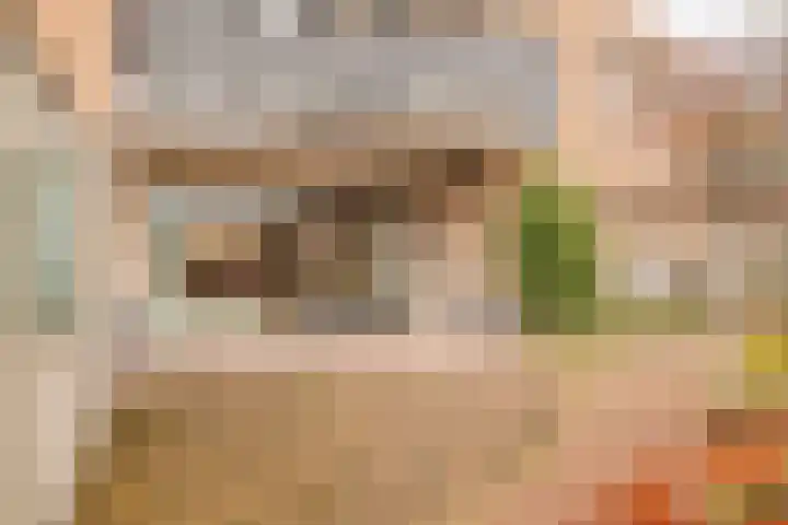 Lambertusterp 2 Rosmalen thumbnail 17