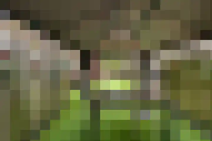 Lambertusterp 2 Rosmalen thumbnail 18