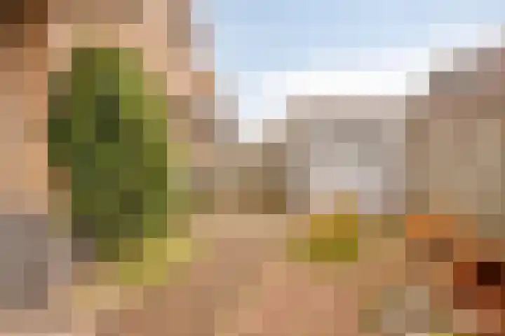 Lambertusterp 2 Rosmalen thumbnail 18