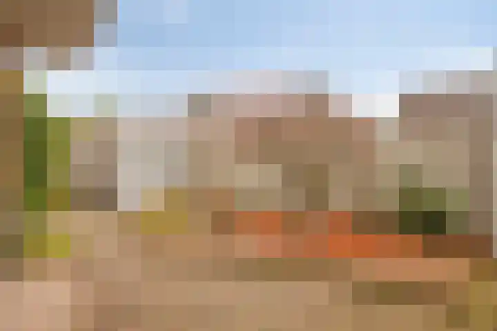 Lambertusterp 2 Rosmalen thumbnail 19