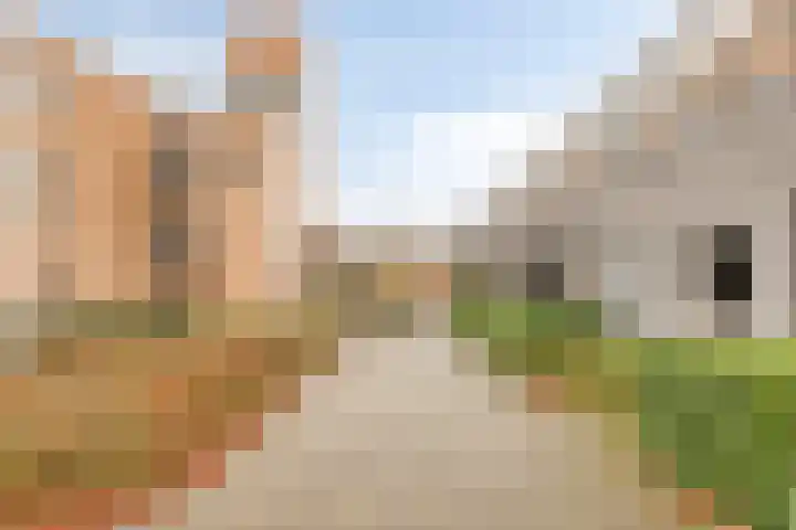 Lambertusterp 2 Rosmalen thumbnail 24