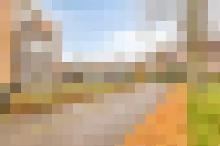 Lambertusterp 2 Rosmalen thumbnail 25