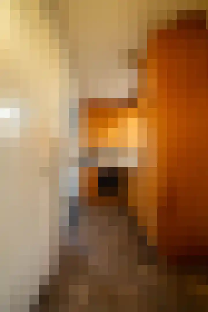 Lambertweg 26 De Rips thumbnail 14