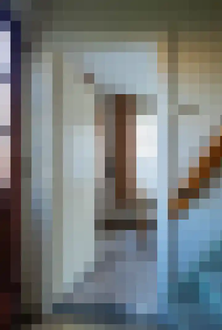 Lambertweg 26 De Rips thumbnail 20