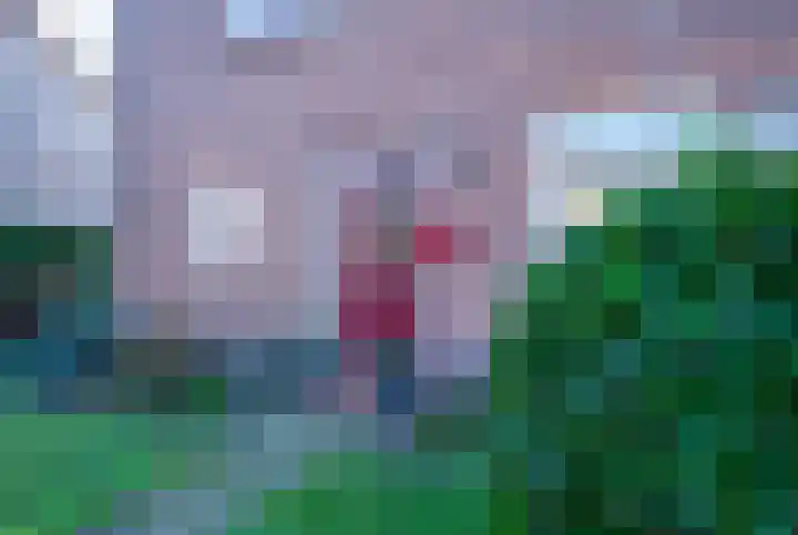 Lambertweg 26 De Rips thumbnail 4
