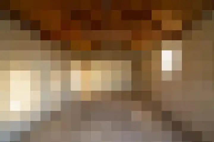 Lambertweg 26 De Rips thumbnail 45