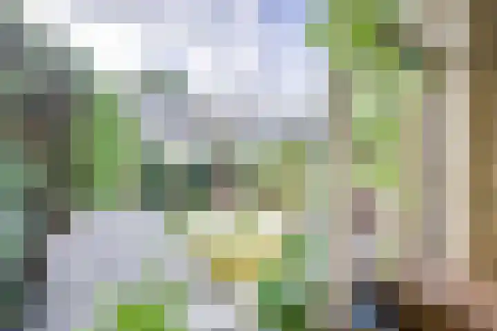 Lamérislaan 71 Utrecht thumbnail 15
