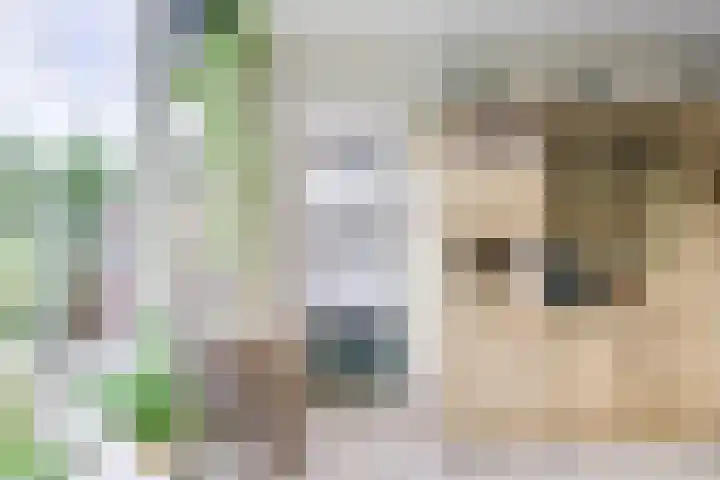 Lamérislaan 71 Utrecht thumbnail 17