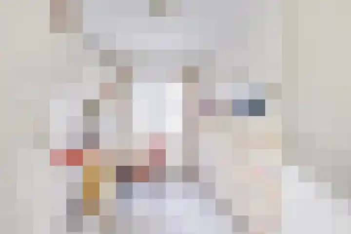 Lamérislaan 71 Utrecht thumbnail 32