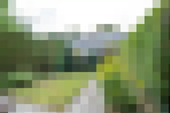Lamérislaan 71 Utrecht thumbnail 4