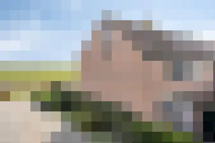 Lameroen 28 Monnickendam thumbnail 40