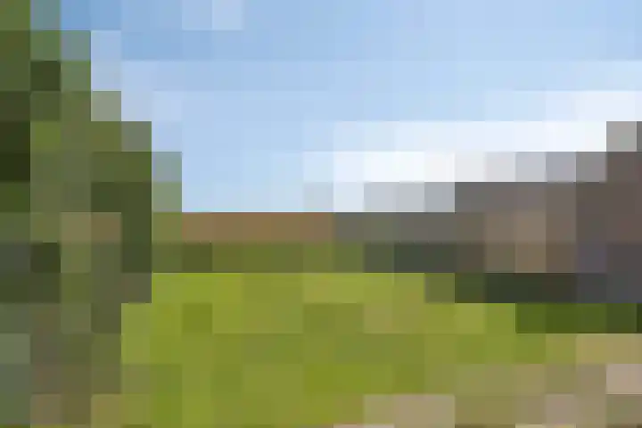 Lameroen 28 Monnickendam thumbnail 48