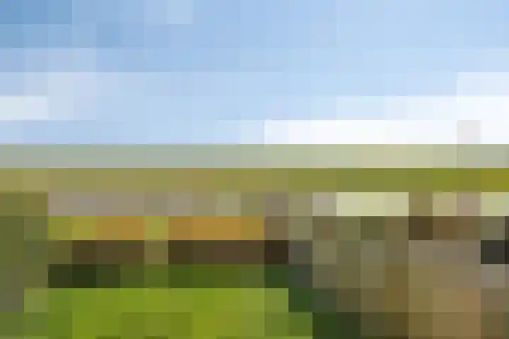 Lameroen 28 Monnickendam thumbnail 58