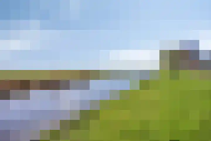 Lameroen 28 Monnickendam thumbnail 59