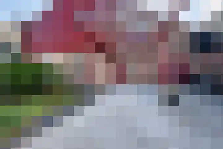 Lameroen 46 Monnickendam thumbnail 11