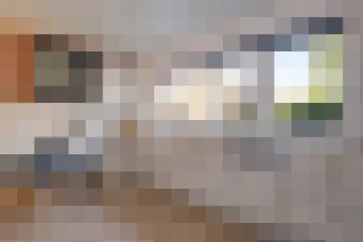 Lameroen 46 Monnickendam thumbnail 14