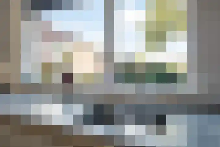 Lameroen 46 Monnickendam thumbnail 15