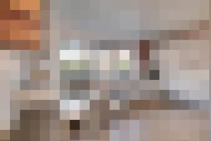 Lameroen 46 Monnickendam thumbnail 17
