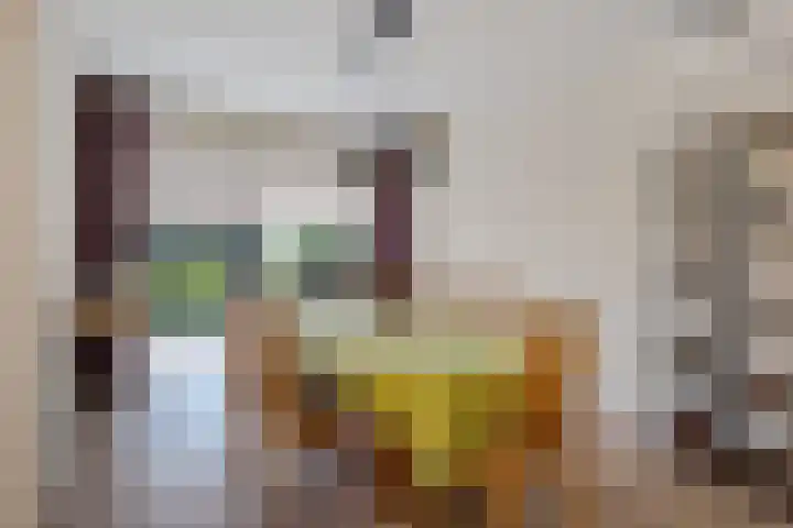 Lameroen 46 Monnickendam thumbnail 18