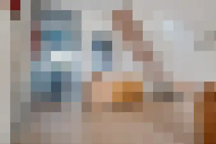 Lameroen 46 Monnickendam thumbnail 24