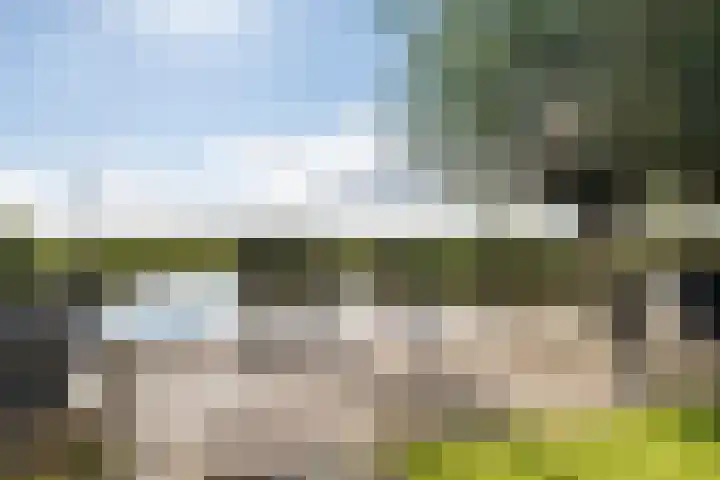 Lameroen 46 Monnickendam thumbnail 32