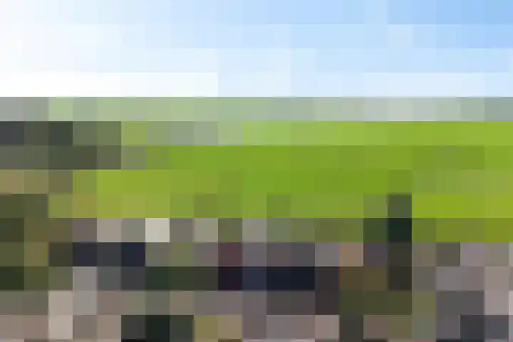 Lameroen 46 Monnickendam thumbnail 5