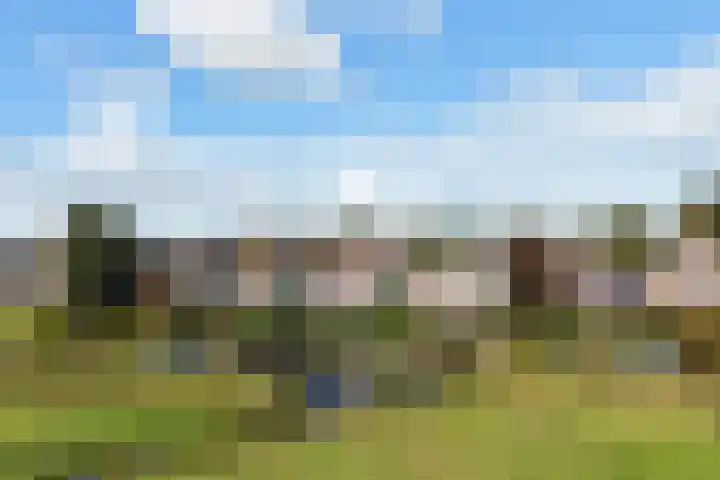 Lameroen 46 Monnickendam thumbnail 61