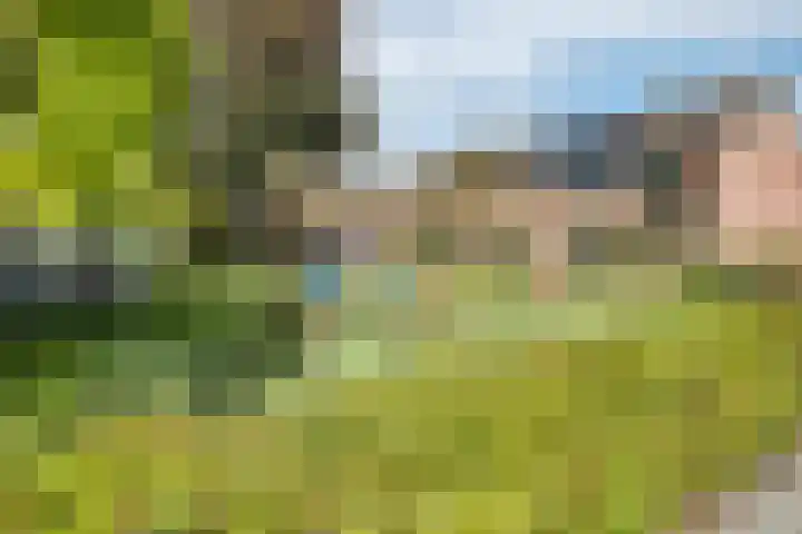 Lameroen 46 Monnickendam thumbnail 63