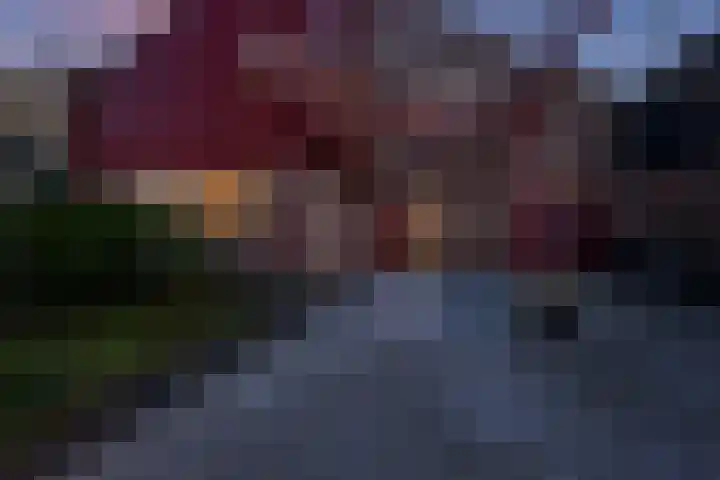 Lameroen 46 Monnickendam thumbnail 7