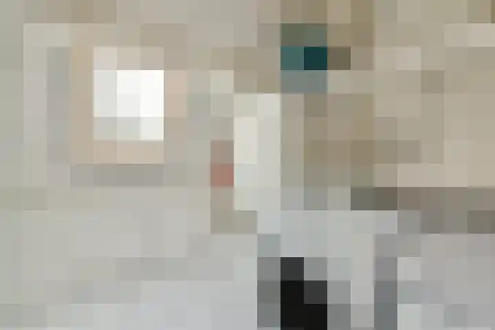 Lammenschansweg 125 Leiden thumbnail 32