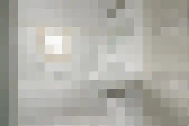 Lammenschansweg 125 Leiden thumbnail 33