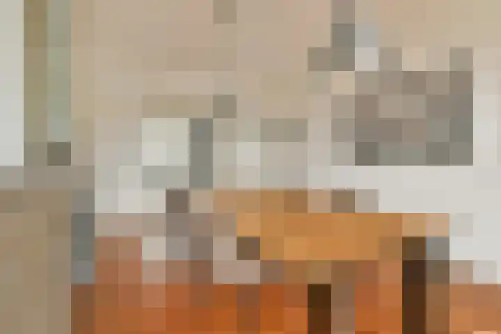 Lammenschansweg 125 Leiden thumbnail 4