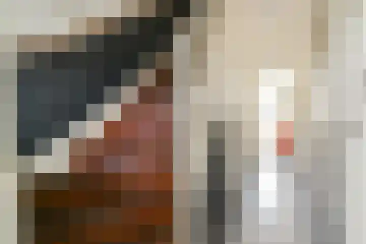 Lammenschansweg 125 Leiden thumbnail 9
