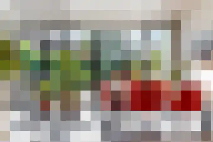 Lammenschansweg 19 Leiden thumbnail 15