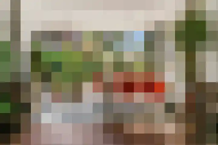 Lammenschansweg 19 Leiden thumbnail 16