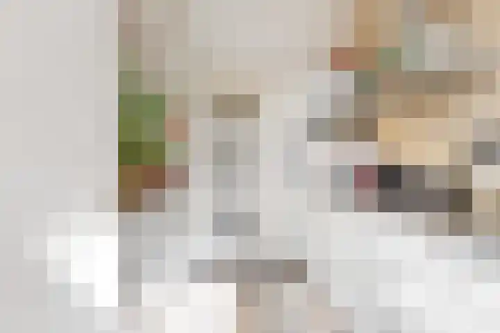 Lammenschansweg 19 Leiden thumbnail 17