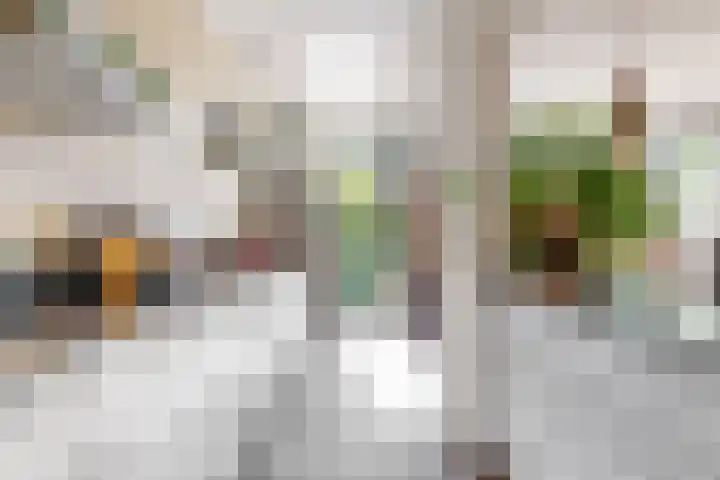 Lammenschansweg 19 Leiden thumbnail 18