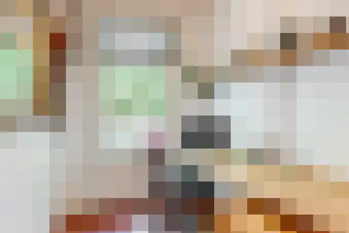 Lammenschansweg 19 Leiden thumbnail 19