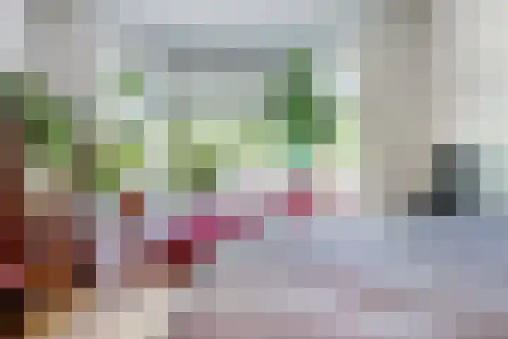 Lammenschansweg 19 Leiden thumbnail 21