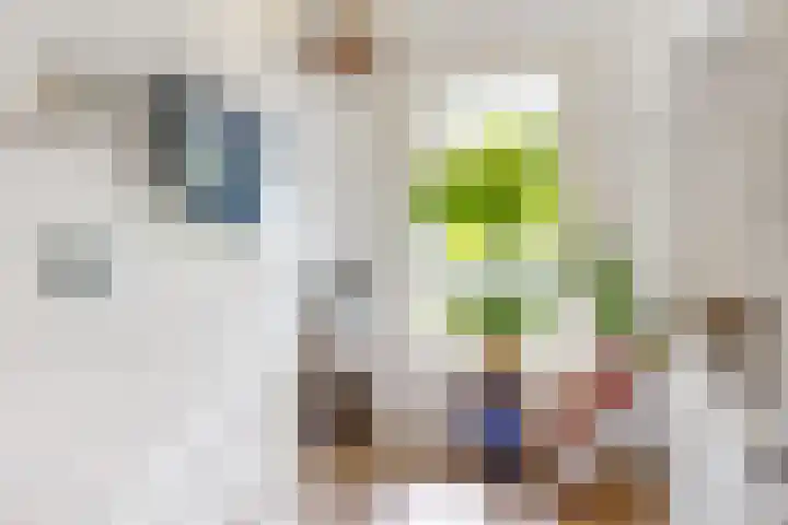 Lammenschansweg 19 Leiden thumbnail 24