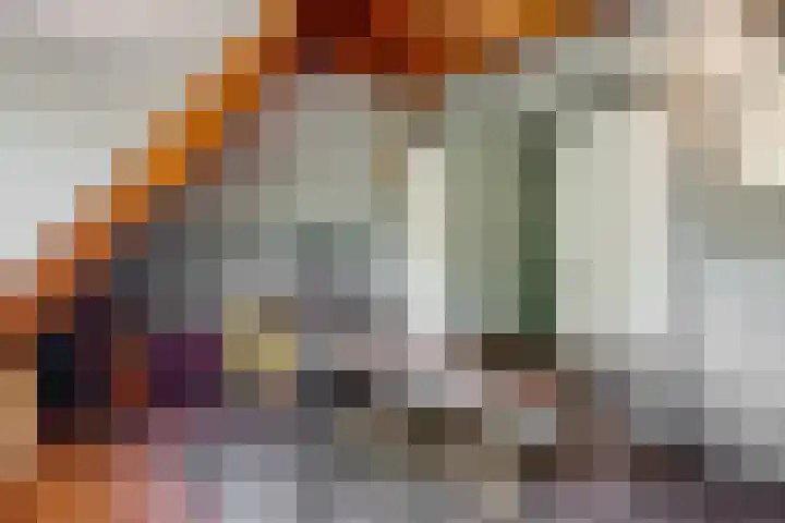 Lammenschansweg 19 Leiden thumbnail 28