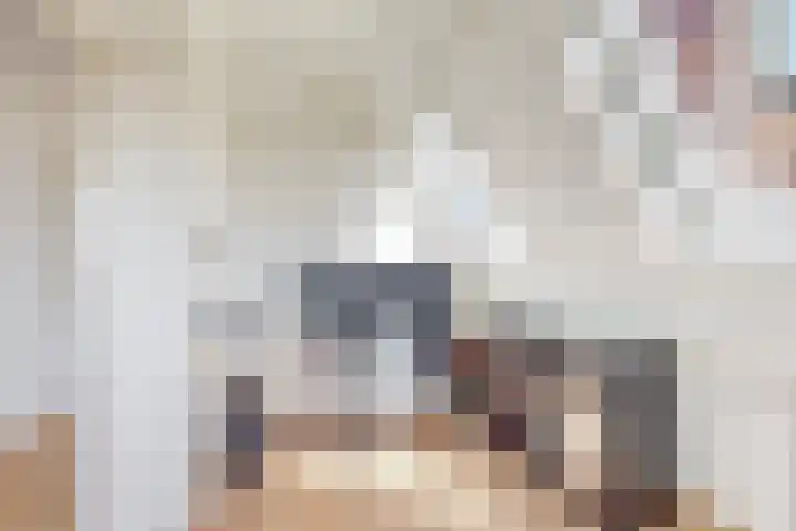 Lammenschansweg 19 Leiden thumbnail 34