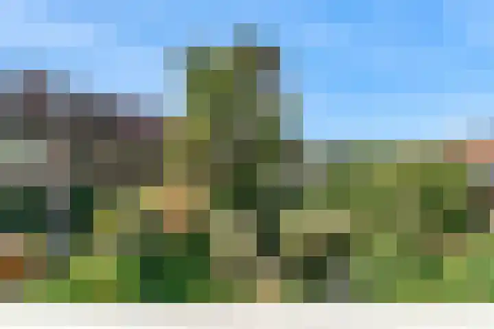 Lammenschansweg 19 Leiden thumbnail 36