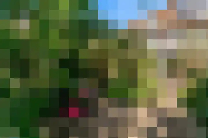 Lammenschansweg 19 Leiden thumbnail 37
