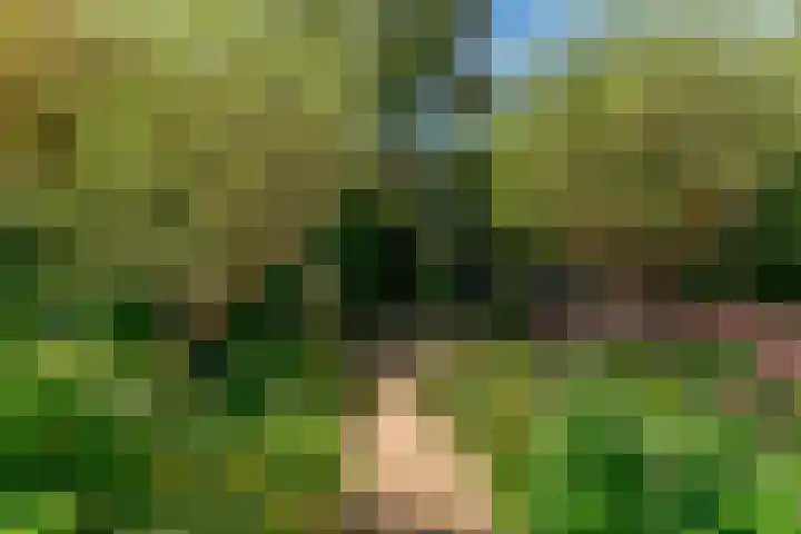 Lammenschansweg 19 Leiden thumbnail 38
