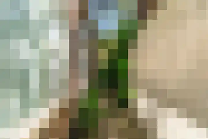 Lammenschansweg 19 Leiden thumbnail 39