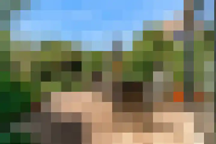 Lammenschansweg 19 Leiden thumbnail 4