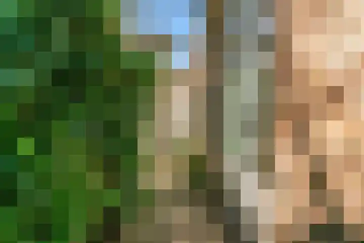 Lammenschansweg 19 Leiden thumbnail 40