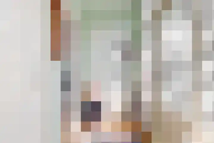 Lammenschansweg 19 Leiden thumbnail 41
